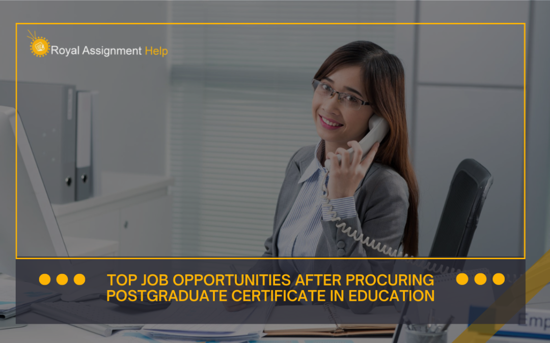 Opportunities for post-graduates of education